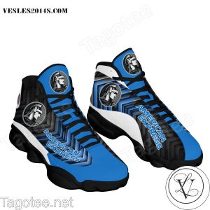 American Express Air Jordan 13 Shoes