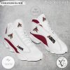 Arizona Coyotes Logo Air Jordan 13 Shoes