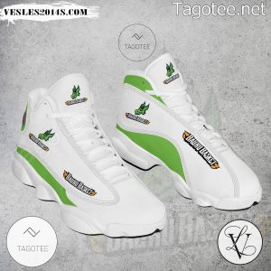 Associacao Bauru Logo Air Jordan 13 Shoes