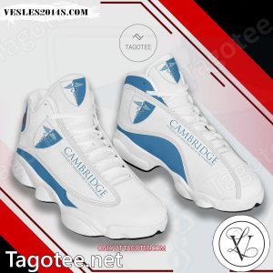 Cambridge Institute of Allied Health & Technology Logo Air Jordan 13 Shoes