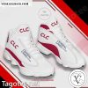 Central Lakes College Logo Air Jordan 13 Shoes