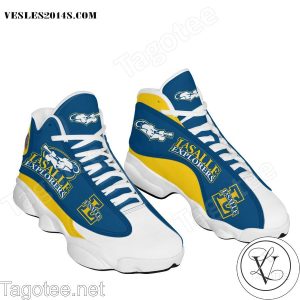 La Salle Explorers Air Jordan 13 Shoes