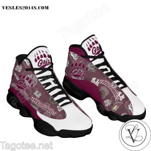 Montana Grizzlies Air Jordan 13 Shoes