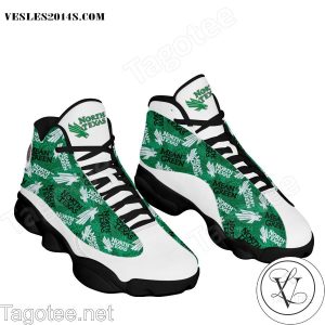 North Texas Mean Green Air Jordan 13 Shoes