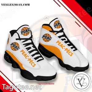 PEAC-Pecs Air Jordan 13 Shoes