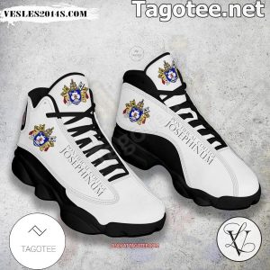 Pontifical College Josephinum Air Jordan 13 Shoes