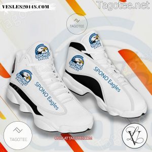 SPONO Eagles Handball Logo Air Jordan 13 Shoes