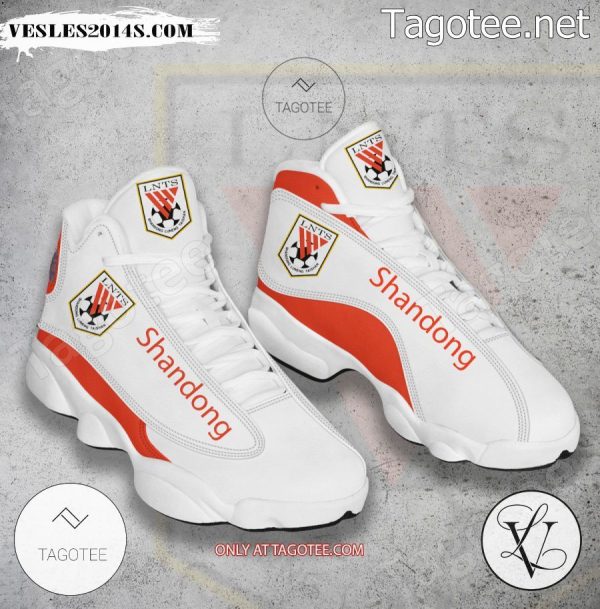 Shandong Volleyball Air Jordan 13 Shoes