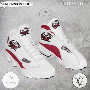 Temple Owls NCAA Logo Air Jordan 13 Shoes