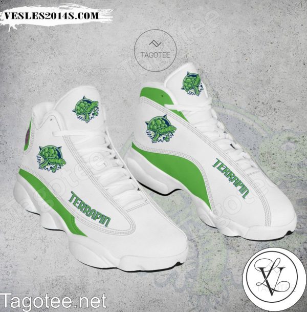 Terrapin Logo Air Jordan 13 Shoes