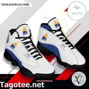 University of North Georgia Air Jordan 13 Shoes Kza